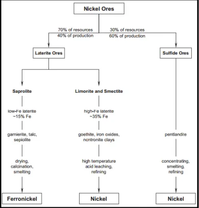 Gambar 2. 1 Diagram Ekstraksi Nikel dan FerroNickel  (Crundwell, 2011). 