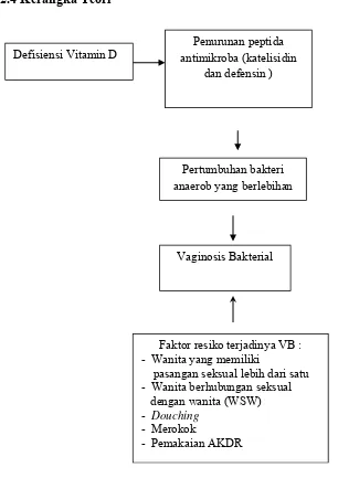 Gambar 2.3 Diagram kerangka teori penelitian  