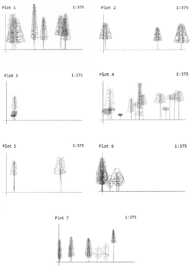 Gambar 1. Struktur Tegakan Vertikal (Tampak Samping) di Hutan Arah Curug SituGunung