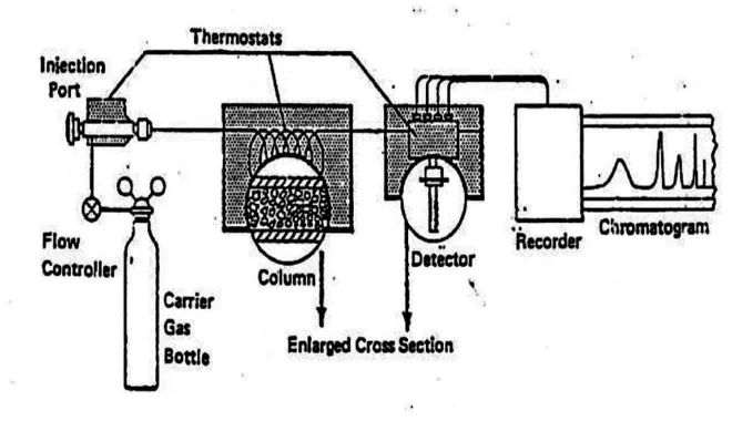 Gambar 2.6. Skemaδtis Kromatografi Gas 