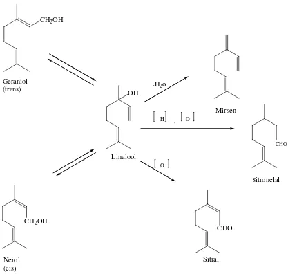 Gambar 2.3. Perubahan Senyawa Monoterpen (Achmad, 1986). 
