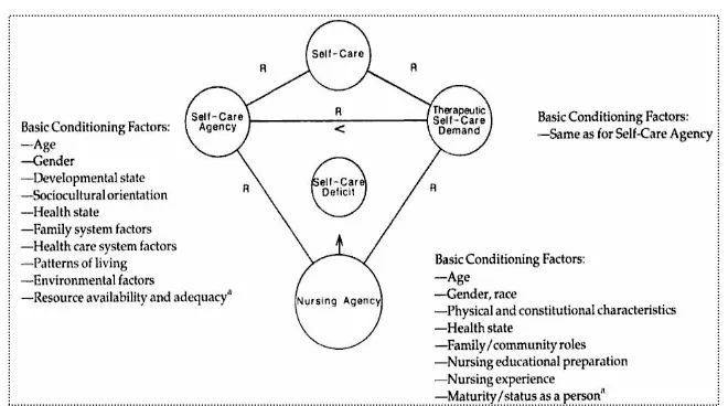Gambar 2.1. Conceptual Structure of the Self-Care Deficit Theory of Nursing 