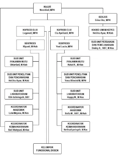 Gambar 3  Struktur Organisasi Jurusan Kebidanan Poltekkes Kemenkes Palangka Raya 