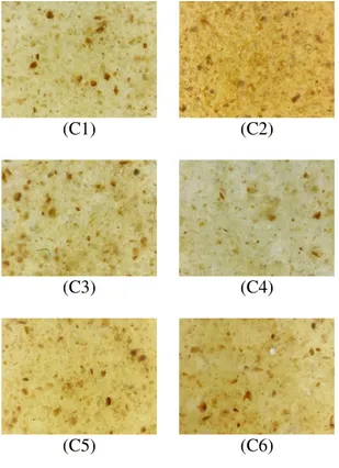 Gambar 4.3 Tampilan fisik sampel dengan pati biji durian  Dari  gambar  4.3 terlihat  permukaan  sampel  dengan pati  biji  durian