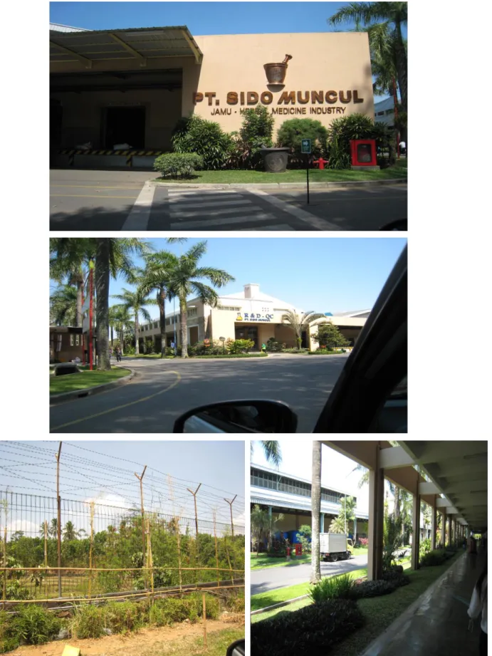 Gambar 15.  Wilayah pabrik PT Sido Muncul Tbk seluas 67 hektar 
