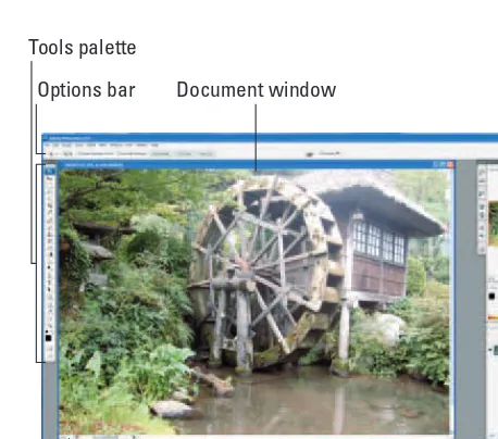 Figure 1-1: The Photoshop desktop consists of many components, including an image document window, palettes, and bars.