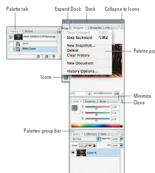 Figure 1-4: Palettes contain various types of icons for commands for editing and managing your image.