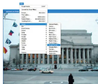 Figure 1-8: The Filter menu is bursting at the seams with plug-ins to improve, enhance, orcompletely transform your image.