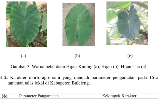 Gambar 3. Warna helai daun Hijau-Kuning (a), Hijau (b), Hijau Tua (c). 