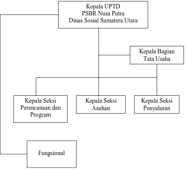Gambar 2.1 Struktur Organisasi Unit Pelaksana Teknis Daerah (UPTD) Panti Sosial Bina Remaja (PSBR) Nusa Putra pada Dinas Sosial Propinsi Sumatera Utara