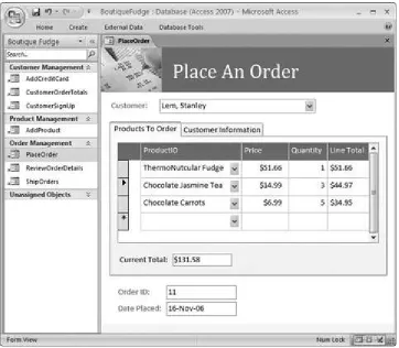 Figure I -1 . This sales database includes handy forms that sales people can use to place new orders (shown here), customerservice representatives can use to sign up new customers, and warehouse staff can use to review outgoing shipments