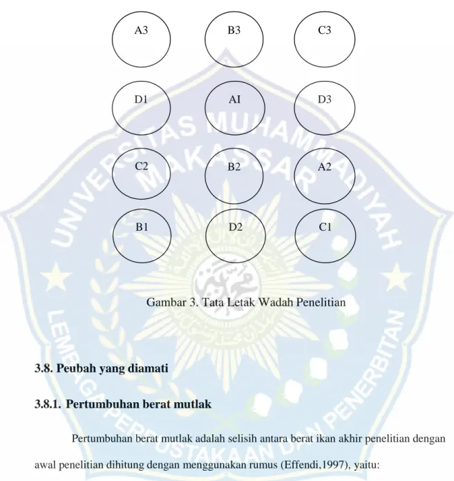 Gambar 3. Tata Letak Wadah Penelitian 