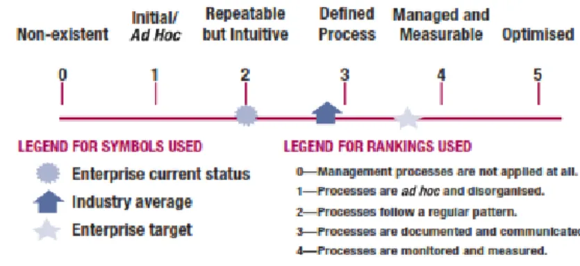 Gambar  1. Tingkat  Maturity Model (Meadwos  Rolling,  2007) 