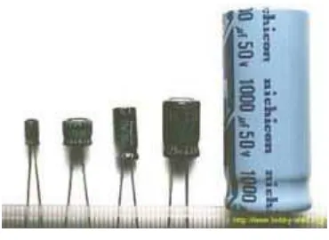 Gambar 2.7   Electrolytic Capacitor (ELCO) 