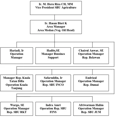 Gambar 2.1 Struktur Organisasi PT. Sucofindo (Persero) Medan  