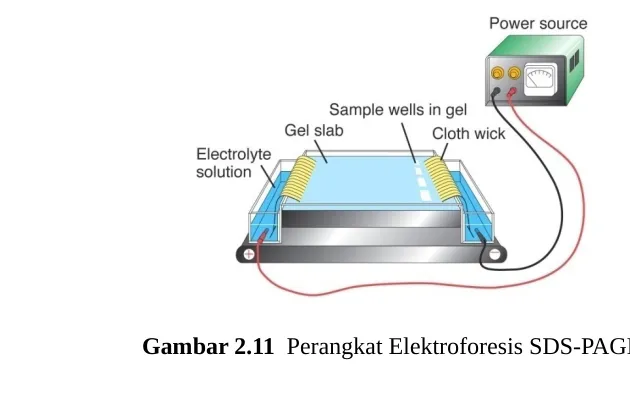 Gambar 2.11  Perangkat Elektroforesis SDS-PAGE
