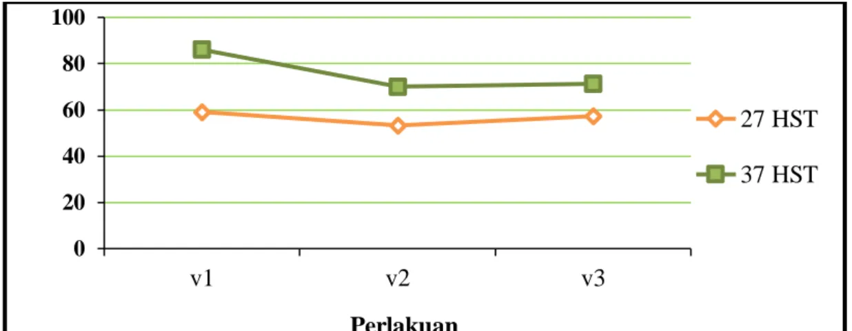 Gambar 2.  Grafik  pengaruh varietas padi terhadap tinggi tanama padi pada umur 27   dan 37 HST 