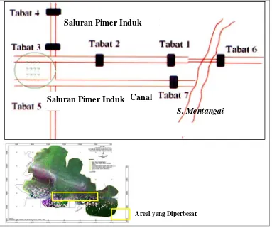 Gambar 9.  Sketsa lokasi tabat yang dibuat oleh WI-IP di Eks-PLG Blok A, Mentangai, Kalimantan Tengah  