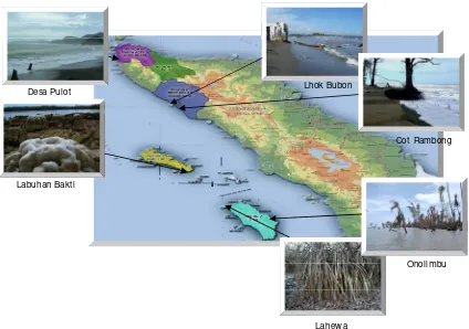 Figure 3-1.  Landscape change caused by earthquake and Tsunami along Aceh coast 