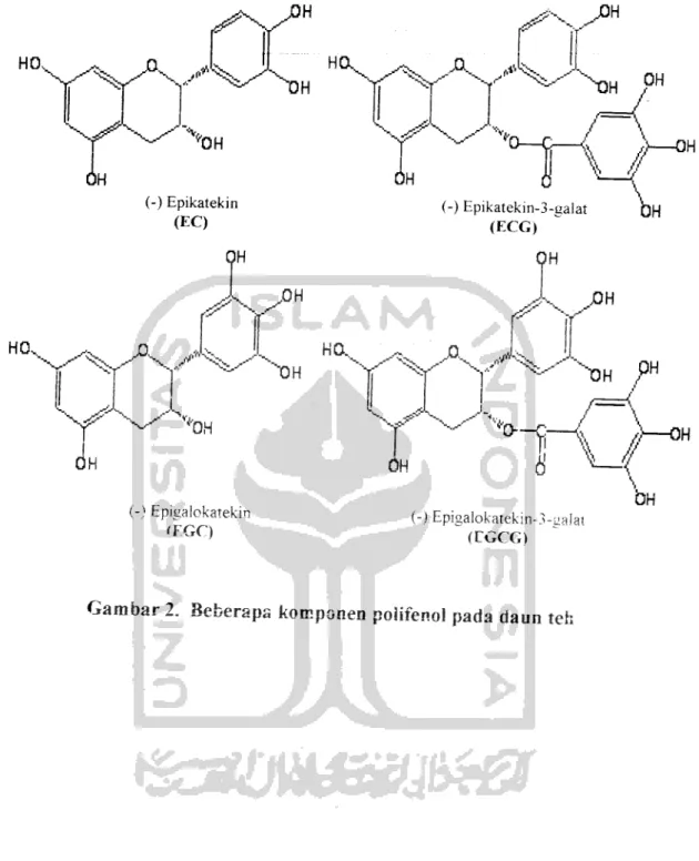 Gambar 2. Beberapa komponen polifenol pada daun teh