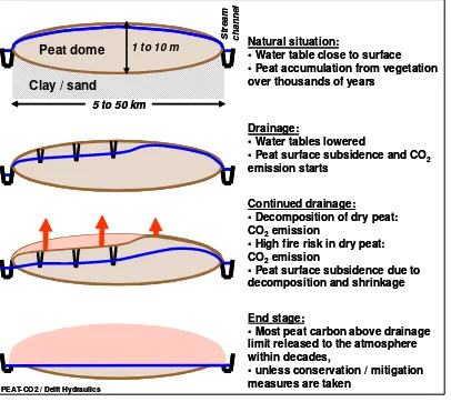 Figure 1  Schematic illustration of CO2 emission from drained peatlands