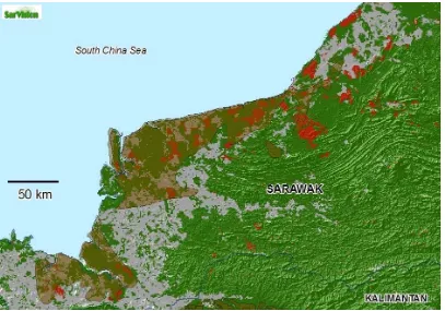 Figure 8  Deforestation data for Sarawak (provided by SarVision) show that around 50% of forest landscleared from 1999 to June 2006 (red areas) are located on peat lands (brown areas)