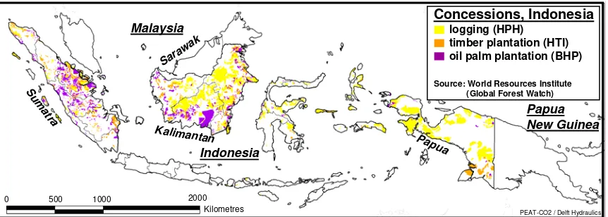 Figure 10  Plantation concessions (i.e. planned and existing plantations) on peatlands in the Province ofRiau (Sumatra)