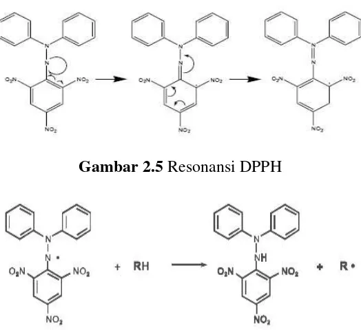 Gambar 2.5 Resonansi DPPH 