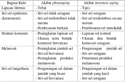 Tabel 2.1 Perbedaan anatomi pada epidermis 