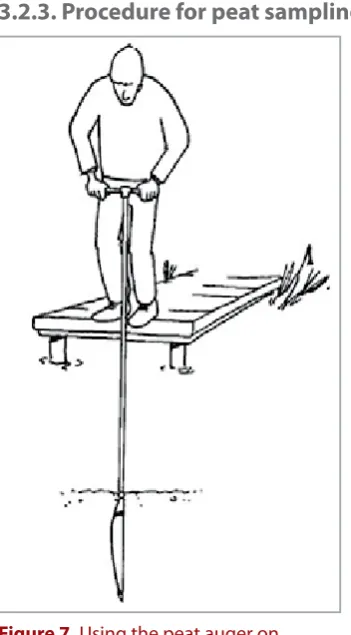 Figure 7. Using the peat auger on 