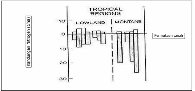 Gambar 2. Kandungan Nitrogen dalam biomassa dan tanah di ekosistem hutan                 tropika (Jordan 1985).