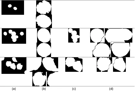 Gambar 7. (a) Citra hasil segmentasi (b) citra Sel Tunggal (c) Citra Sel Berhimpit (d) Citra Sel Tunggal dari Sel yang Berhimpit 