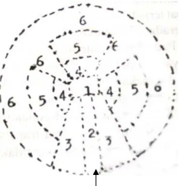 Gambar 2.9 Model Teori Amerika Latin (Griffin,Ford,1980) 