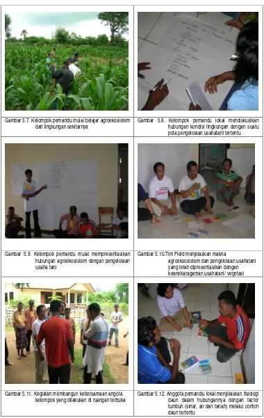 Gambar 5.7. Kelompok pemandu mulai belajar agroekosistem 