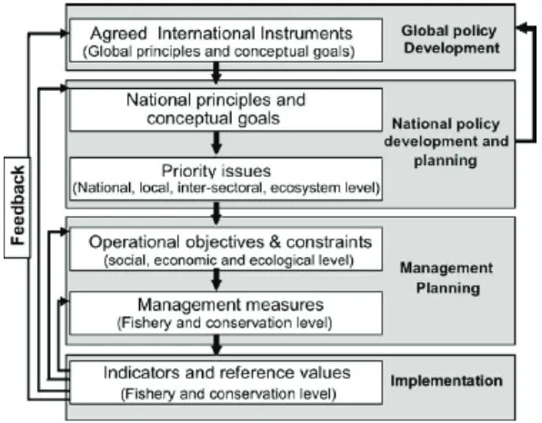 Gambar 11. Proses Implementasi EAFM (FAO, 2003)