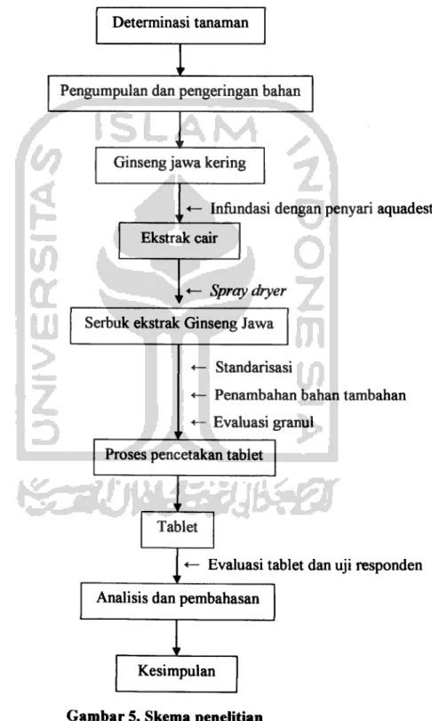 Gambar 5. Skema penelitian