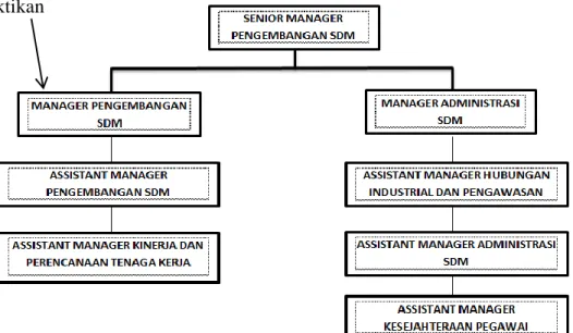 Gambar 2.6. Struktur Organisasi Divisi Pengembangan SDM  Sumber: Diolah oleh Praktikan 