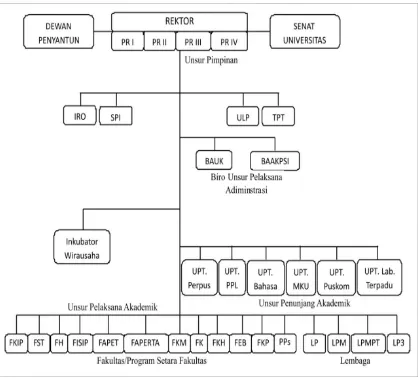 Gambar 4. Struktur Organisasi Undana 