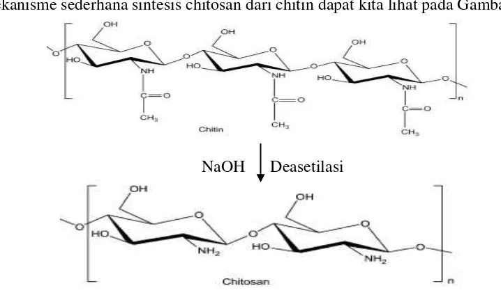 Gambar 2.3. Mekanisme Sederhana Sintesis Chitosan Dari Chitin 