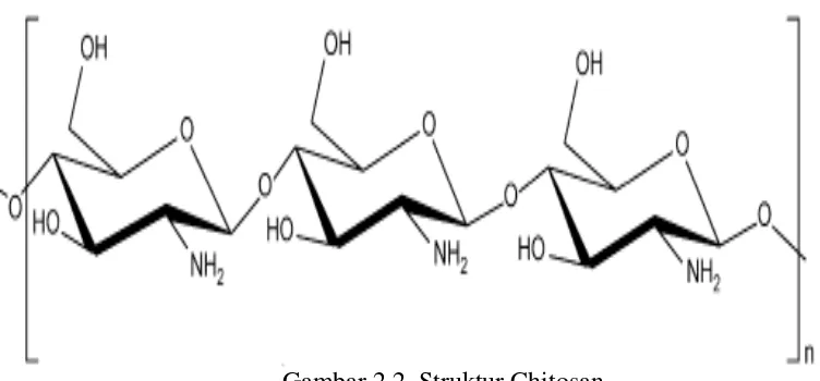 Gambar 2.2. Struktur Chitosan 