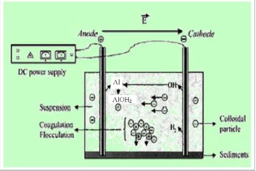 Gambar 2.1  Prinsip proses elektrokoagulasi (sumber: Purwaningsih. 2009) 