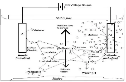 Gambar 2.2 Mekanisme dalam elektrokoagulasi (Holt, P., 2006) 