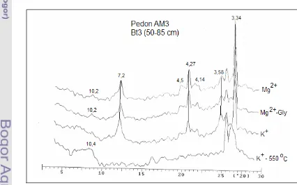 Gambar 12b.  Hasil Analisis XRD Fraksi Liat Horison Bt2  Pedon AM3 Berbahan Induk  Batuliat