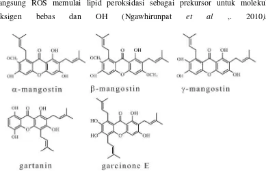 Gambar 2.8. Struktur Kimia Xanthone (Shan et al,.2011) 