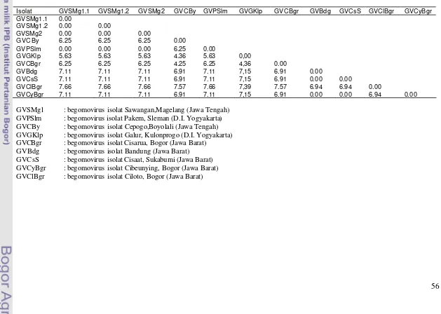 Tabel 3.3  Matrik tingkat perbedaan 9 isola t begomovirus berdasarkan pola pita PCR-RFLP menggunakan program NTSYS versi  2.1 