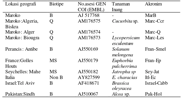 Tabel 4.2  Lokasi geografi, biotipe, nomor asesi sekuen gen COI pada GeneBank dan tanaman inang B