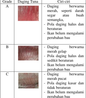 Tabel 2.1. Grade daging tuna 