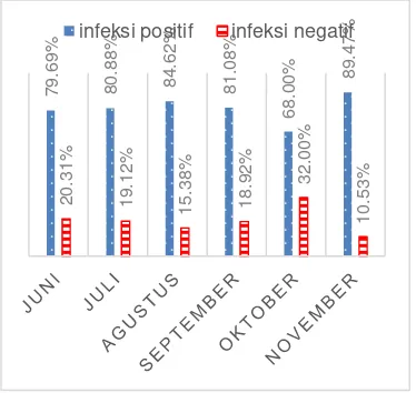 Grafik 4.  Persentase kasus infeksi dengue per bulan periode 1 Juni – 20 November 2013 