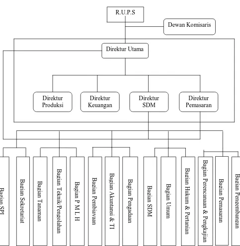Gambar 4.1: Struktur organisasi PT Perkebunan Nusantara (PTPN) II  