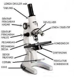Gambar 3. Bagian-bagian mikroskop optik [5]. 